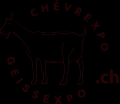 GeissExpo
