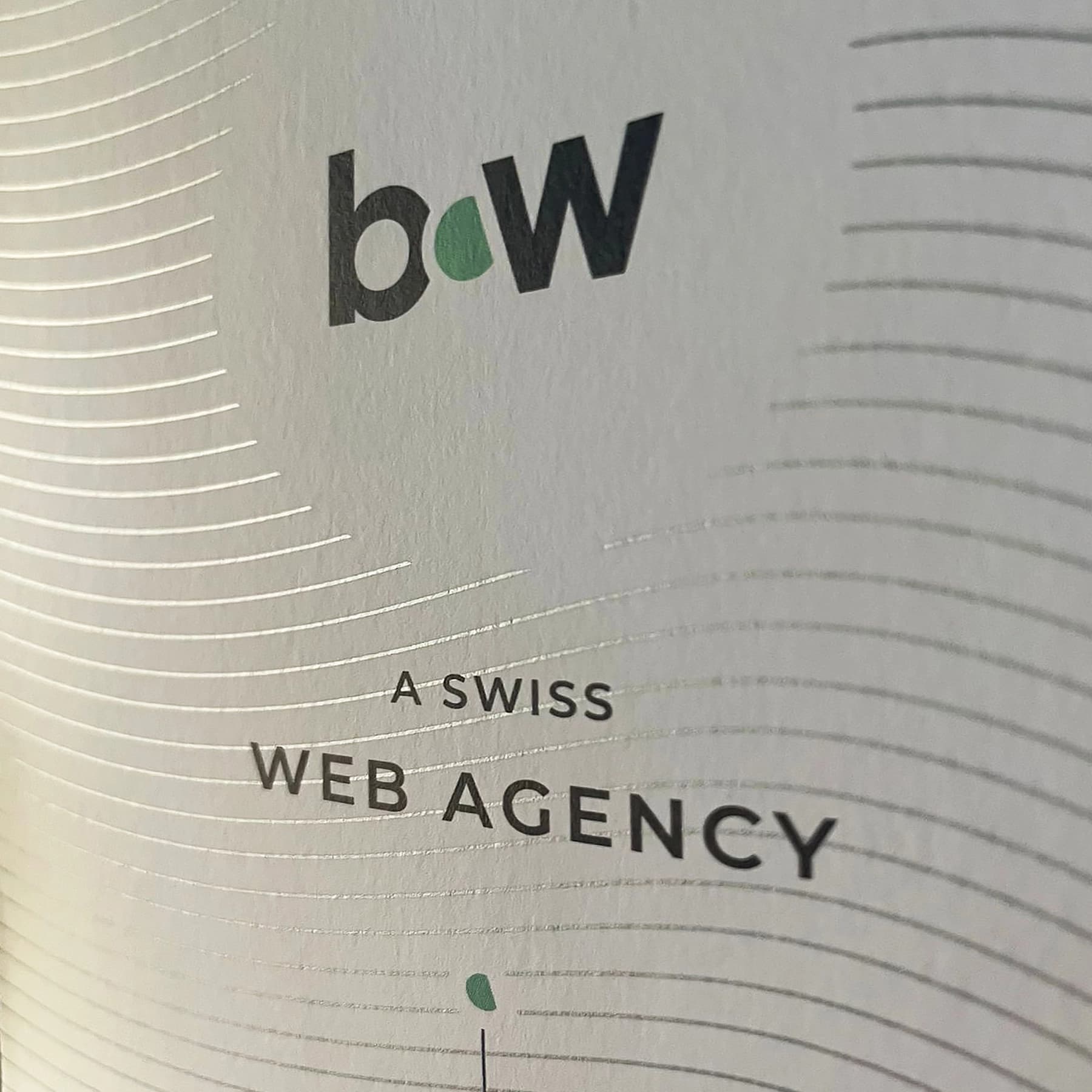 Preview of the Bureau Web Sàrl project 2